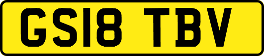 GS18TBV