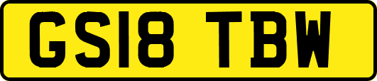 GS18TBW