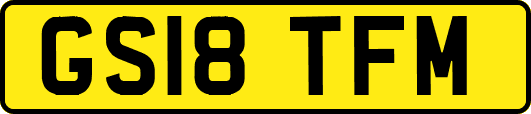 GS18TFM
