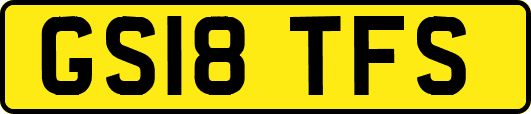 GS18TFS