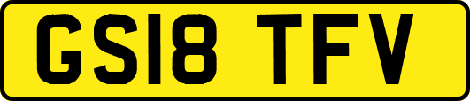 GS18TFV