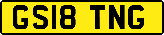 GS18TNG