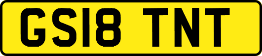 GS18TNT