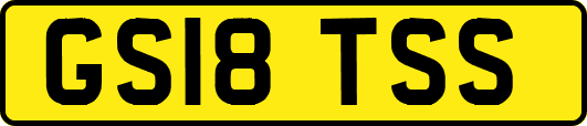 GS18TSS