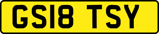 GS18TSY