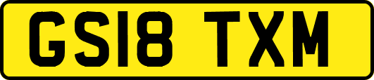 GS18TXM