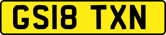 GS18TXN
