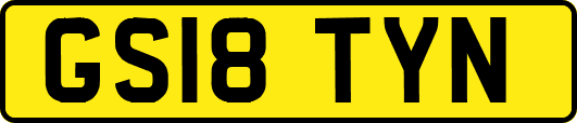 GS18TYN
