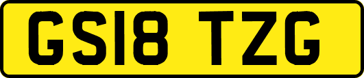 GS18TZG