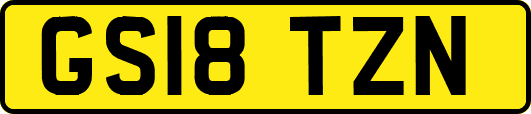 GS18TZN