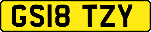 GS18TZY