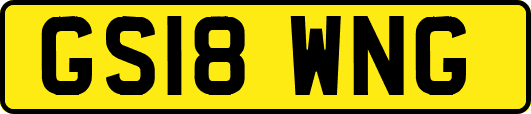 GS18WNG