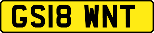 GS18WNT