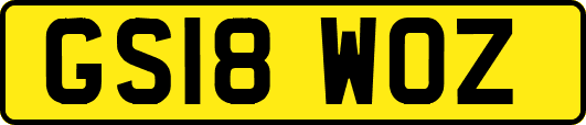 GS18WOZ
