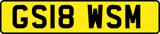 GS18WSM
