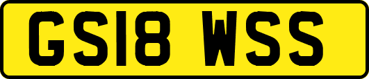 GS18WSS