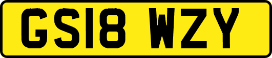 GS18WZY