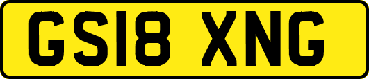 GS18XNG