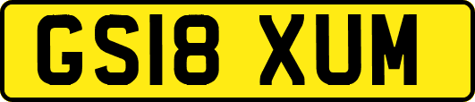 GS18XUM