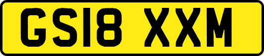 GS18XXM