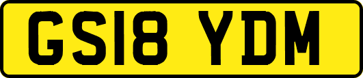 GS18YDM