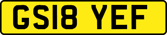 GS18YEF