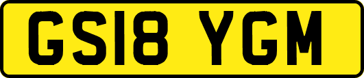 GS18YGM