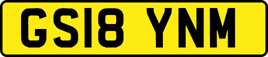 GS18YNM