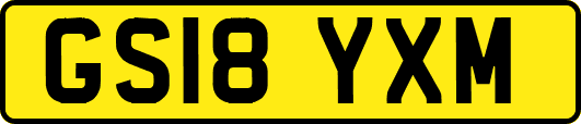 GS18YXM