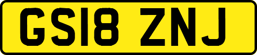 GS18ZNJ