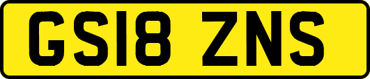 GS18ZNS