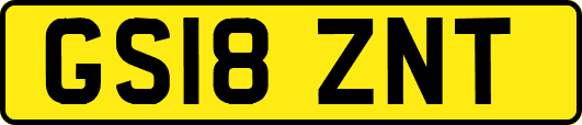 GS18ZNT