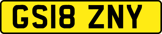 GS18ZNY