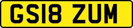 GS18ZUM