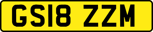 GS18ZZM