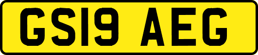 GS19AEG