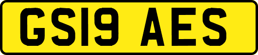GS19AES