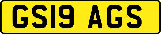 GS19AGS