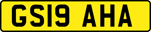 GS19AHA
