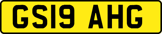 GS19AHG