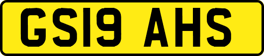 GS19AHS