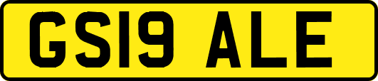 GS19ALE