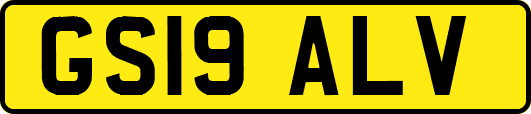 GS19ALV