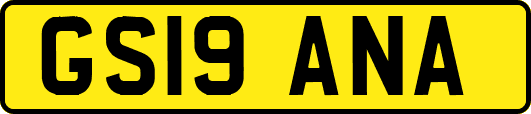 GS19ANA