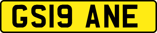 GS19ANE