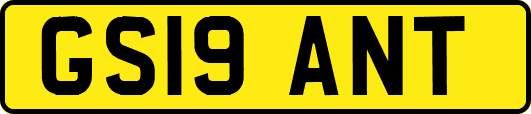 GS19ANT
