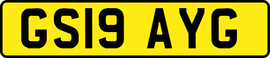 GS19AYG