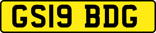 GS19BDG