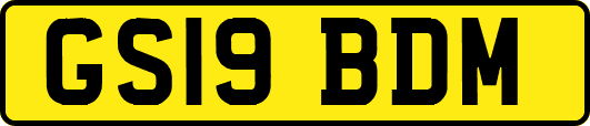 GS19BDM