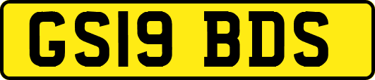 GS19BDS